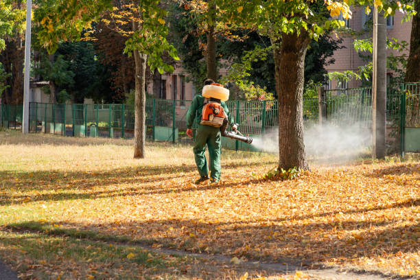 Best Pest Prevention Services  in Rawls Springs, MS