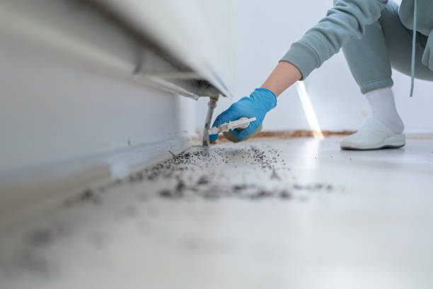 Best Emergency Pest Control  in Rawls Springs, MS